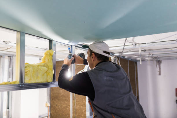 Best Types of Insulation in Hamilton, MO